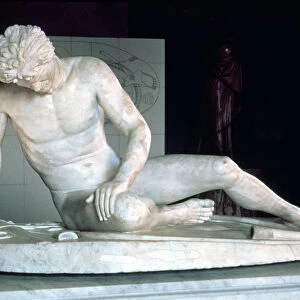 The Galata, Dying Gaul, a Roman copy of a Greek original from Pergamum, 3rd-2nd century BC