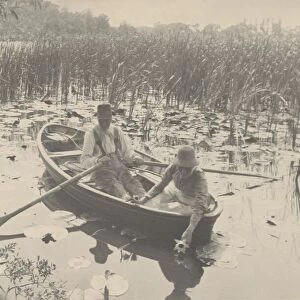 Gathering Water-Lilies, 1886. Creator: Dr Peter Henry Emerson
