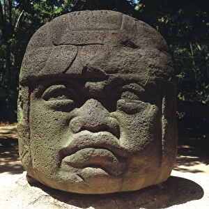 Giant head from Olmec culture