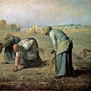 The Gleaner women, 1857, by Jean Francois Millet