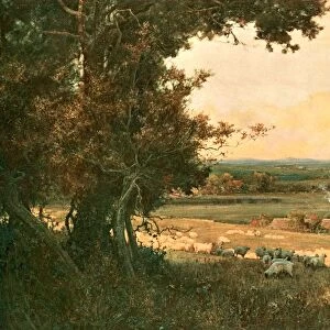 The Golden Valley, c1893, (c1902). Creator: Unknown