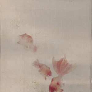 Goldfish, ca. 1887. Creator: Watanabe Seitei