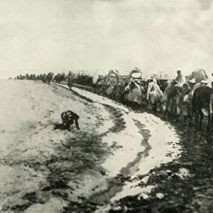 The Great Serbian Retreat, (1919). Creator: Unknown