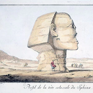 Great Sphinx Head in Profile, 18th century. Artist: Tuscher Hafniae