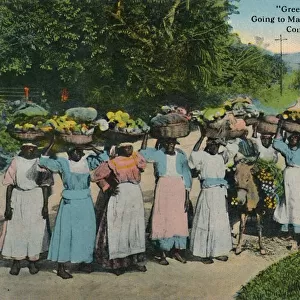 Greetings from Jamaica. Going to Market with Yams and Canes. Constant Spring Road, 1913