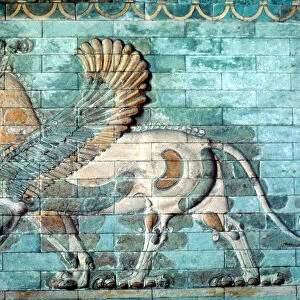 Griffin-lion relief in glazed brickwork, Achaemenid Period, Ancient Persia, 530-330 BC
