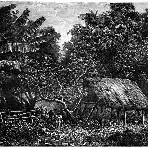 Guyana, South America, 19th century. Artist: Edouard Riou