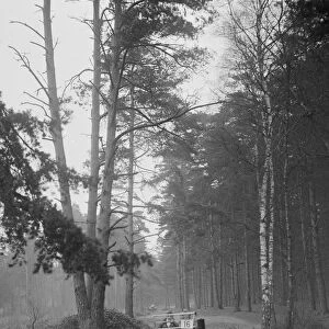 GWK taking part in the JCC General Efficiency Trial, Oxshott Woods, Surrey, 1923