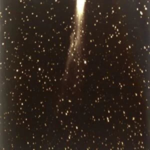 Halleys Comet, 1910. Creator: George Willis Ritchey