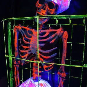 Halloween, San Diego, California, USA, 2022. Creator: Ethel Davies Halloween, San Diego, California, USA, 2022. Creator: Ethel Davies