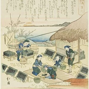 Hamagawa, from the series "A Record of a Journey to Enoshima (Enoshima kiko)"