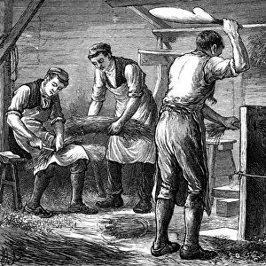 Hand-scutchers at work, c1880