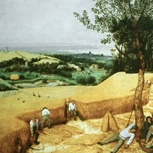 The Harvesters, 1565. Artist: Pieter Bruegel the Elder