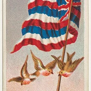 Hawaiian Islands, from Flags of All Nations, Series 1 (N9) for Allen &