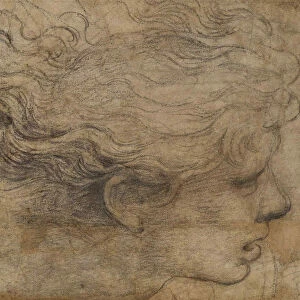 Head of an Angel. Creator: Raphael (Raffaello Sanzio da Urbino) (1483-1520)