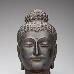 Head of Buddha, Kushan period, 2nd / 3rd century. Creator: Unknown