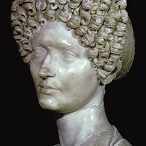 Head of a Roman Lady, 1st century