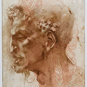 Head of a Satyr. Creator: Buonarroti, Michelangelo (1475-1564)