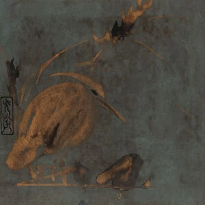 Heron and reeds, Edo period, early 17th century. Creator: Hon'ami Koetsu