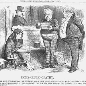Home-(Rule)-Opathy, 1874. Artist: Joseph Swain
