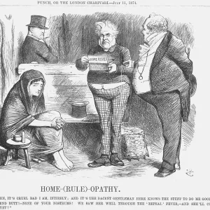 Home-(Rule)-Opathy, 1874. Artist: Joseph Swain