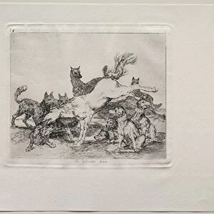 The Horrors of War: He Defends Himself Well. Creator: Francisco de Goya (Spanish, 1746-1828)