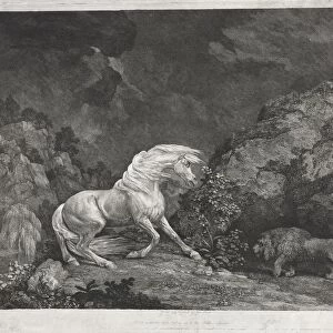 A Horse Frightened by a Lion, 1777. Creator: George Stubbs (British, 1724-1806)