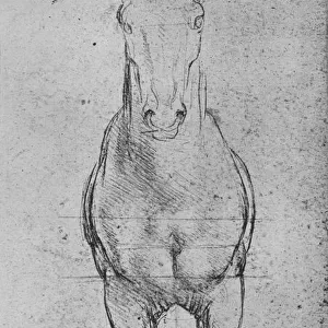 A Horse Seen from the Front, c1480 (1945). Artist: Leonardo da Vinci