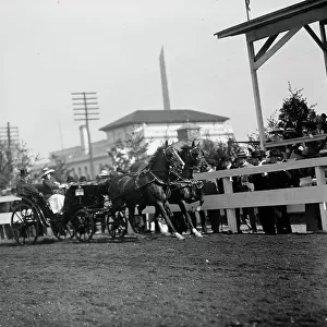 Horse Shows - Team, 1912. Creator: Harris & Ewing. Horse Shows - Team, 1912. Creator: Harris & Ewing