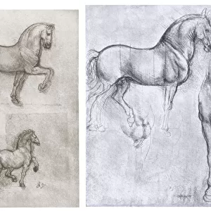Horses, c1490-1510. Artist: Leonardo da Vinci