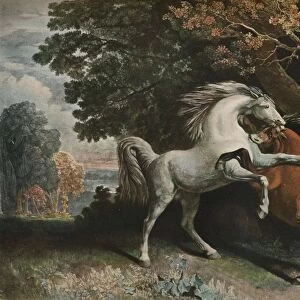 Horses Fighting, c18th century, (1902). Artist: George Townley Stubbs