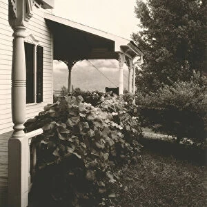 House and Grape Leaves, 1934. Creator: Alfred Stieglitz