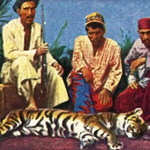 Hunters with dead tiger in Sumatra, c1928. Creator: Unknown