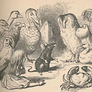 Illustration for the chapter a Caucus-Race and a long tail. Alice and various creatures, such as Artist: John Tenniel