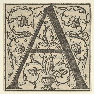 Initial letter A with garlands, mid-16th century. mid-16th century