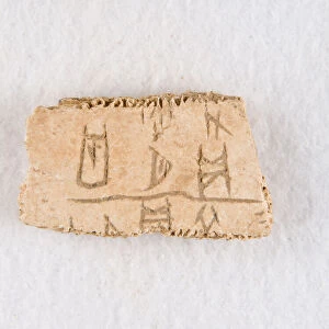 Inscribed bone fragment ("oracle bone"), Late Shang dynasty, ca. 1300-1050 BCE