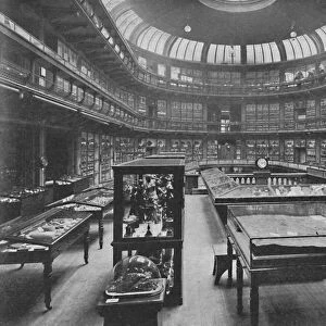 Interior of the Geological Museum, Jermyn Street, 1904