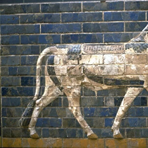The Ishtar Gate, Babylon. Relief of bull, 6th century BC. Artist: Assyrian Art