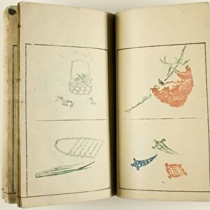 Keisai soga (Sketches of Keisai), one vol. of 5, Japan, 19th century