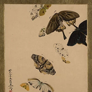 Lacquer Paintings of Various Subjects: Butterflies, dated 1881. Creator: Shibata Zeshin
