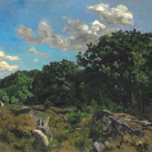 Landscape at Chailly, 1865. Creator: Frederic Bazille
