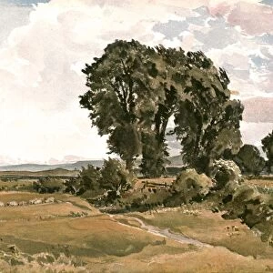 Landscape, near Wareham, Dorset - an Outdoor Sketch, (c1900). Creator: Unknown