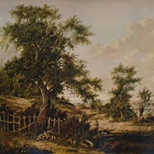 Landscape, with Pool and Tree in foreground, 1828. Artist: Patrick Nasmyth