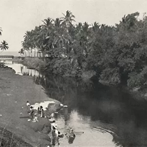 Landschaft am Fluss bei Dehiwala, zwischen Colombo und Mount Lavinia, 1926