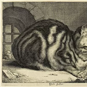 The Large Cat, 1657. Creator: Cornelis de Visscher