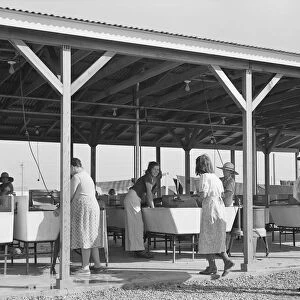 Laundry facilities for migratory workers in FSA camp at Westley, California, 1939. Creator: Dorothea Lange
