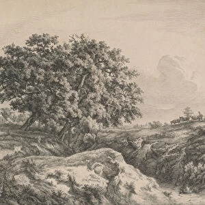 Le chene au ravin (Oak Tree by a Ravine), 1845. Creator: Eugene Blery