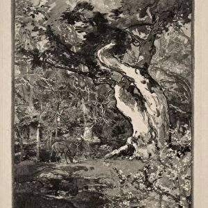 Le Clovis, Plateau de Bellecroix, 1890. Creator: Auguste Louis Lepere (French, 1849-1918)