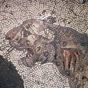 Leopard Mosaic detail, Great Palace, Istanbul, c4th-6th century