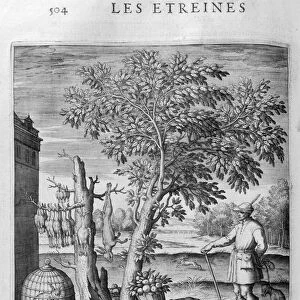 Les Etreines, (Gift), 1615. Artist: Leonard Gaultier